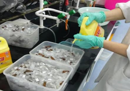 新人進(jìn)實(shí)驗(yàn)室，為什么先刷瓶子？