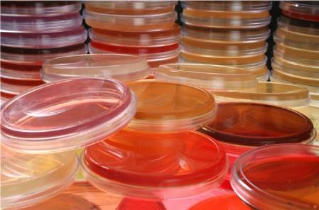 培養(yǎng)皿難洗總洗不干凈易碎，杜伯特輕松解決